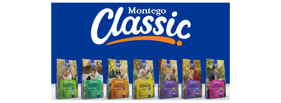 All NG Logos (950 × 350 px)